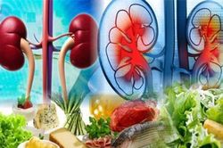 5 thực phẩm 'đại bổ' cho thận, muốn lọc sạch thận dại gì mà không ăn hằng ngày