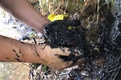 Giám đốc Sở Xây dựng Hà Nội: 'Công ty nước sạch sông Đà phát hiện dầu thải nhưng không báo cáo và có hành vi ngăn chặn'