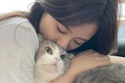 Ngọt ngào khoảnh khắc Jisoo âu yếm chú mèo của Lisa