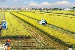 Bốn điểm sáng của ngành nông nghiệp
