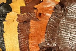 Vì sao phụ kiện bằng da cá sấu luôn đắt đỏ?