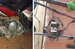 'Toát mồ hôi' trước mớ hung khí của nhóm trộm chó, mèo