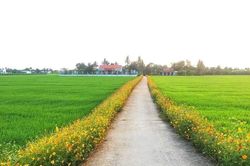 Nông thôn mới cần cách tiếp cận mới