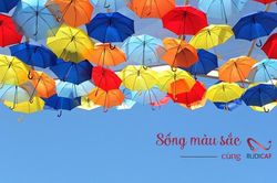 Phát động chiến dịch 'SỐNG MÀU SẮC' cùng Rudicaf