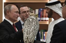 Ông Putin tặng chim ưng quý cho Thái tử UAE và nhận lại món quà bất ngờ