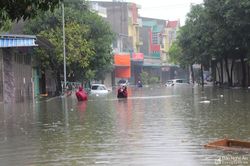 Mưa kỷ lục gần 1000mm, Nghệ An có 1 người chết, hơn 5000 ngôi nhà bị ngập