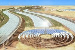 Choáng ngợp với sa mạc Sahara đầy thực phẩm sạch