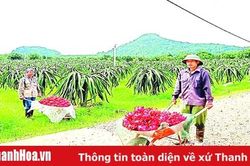 Bài 3: Nhân lên những mô hình phát triển sản xuất hiệu quả