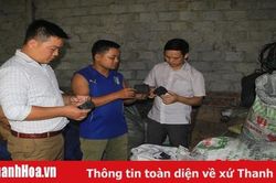Biến ống nứa, mắt luồng thành sản phẩm xuất khẩu