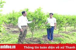 Huyện Triệu Sơn phát huy vai trò tiên phong gương mẫu của cán bộ, đảng viên