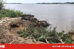 Phú Tân phòng ngừa, ứng phó với sạt lở