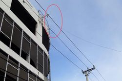 Trêu ngươi... điện cao thế