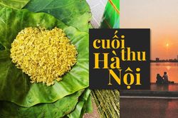 Hà Nội cuối thu: Vẫn dịu dàng và đáng yêu đến thế