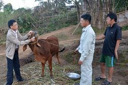 Người thụ hưởng quyết định hình thức hỗ trợ