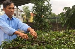 Chính trị - Xã hội Chính trị - Xã hội Nhà nông tương thân, tương ái