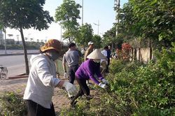 Tự quản trong bảo vệ môi trường