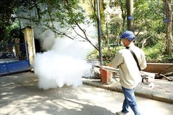 Quảng Nam: Số ca mắc sốt xuất huyết cao gấp 1,7 lần so với năm trước