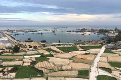 Không giao mặt nước thuộc khu bảo tồn biển để tổ chức, cá nhân xây dựng trái phép