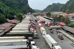 Hàng trăm container chở nông sản tắc ở cửa khẩu Tân Thanh