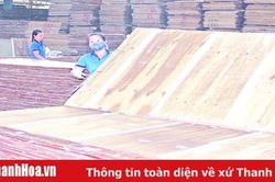 Huyện Thường Xuân: Giá trị sản xuất công nghiệp - xây dựng, dịch vụ ước đạt trên 1.200 tỷ đồng