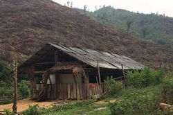 Viết kiểm điểm vì 'tưởng là của em...'