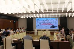 Nỗ lực bảo tồn rùa biển trước sự suy giảm số lượng nhanh chóng