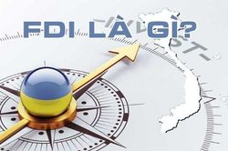 Tổng quan về FDI