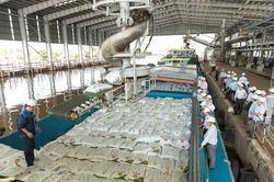 Đạm Cà Mau: Chung tay vun đắp, định hướng nghề nghiệp cho thế hệ tương lai