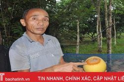 Vì sao cam, bưởi ở Hà Tĩnh rụng quả hàng loạt sau mưa lũ?