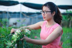 Trở thành nữ 'tỷ phú' 9X nhờ khởi nghiệp với hoa hồng