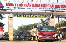 Ngành thép khó khăn, Tisco giảm lợi nhuận