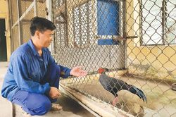 Người ươm tạo những mầm sống