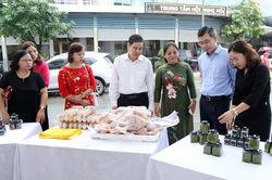 Hòa Bình: Phụ nữ chung sức xây dựng nông thôn mới