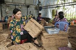 Nâng cao thu nhập từ nghề đan lục bình