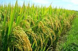 Đừng bao giờ tự khép mình trong lớp vỏ chắc chắn để cố giữ sự nguyên vẹn vô nghĩa của bản thân