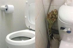 Bỏ 5 nghìn mua sả đặt đúng chỗ này, cả tuần vẫn thơm ngát