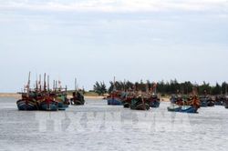 Quy trình xử lý các quy định về quản lý trên hệ thống giám sát tàu cá