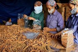 Yên Bái: 60 doanh nghiệp tham gia hội nghị kết nối cung cầu