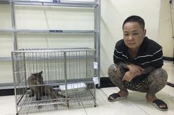 Khởi tố Dũng 'bóng nhựa' về hành vi nuôi nhốt beo lửa