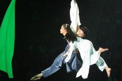 Xiếc Việt cho khán giả Việt