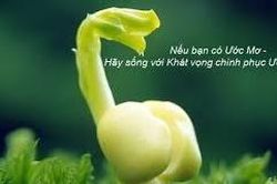 Hãy sống với ước mơ