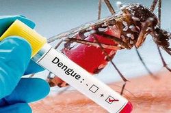 Đắk Lắk: Bé gái 7 tuổi tử vong do sốt xuất huyết