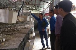 Vay vốn ưu đãi tạo việc làm ổn định