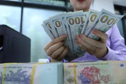 Tỷ giá USD/VND: Hướng về một năm không có thay đổi lớn