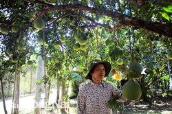Huyện thuần nông xây dựng nông thôn mới
