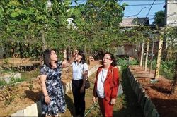 Kinh tế Nông nghiệp - Nông thôn Xây dựng nông thôn mới ở Phú Vang: Trái bắt đầu ngọt