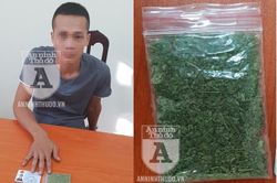 Giấu gói cỏ Mỹ trong túi, vờ rút điện thoại gọi 'người quen' tại chốt 141