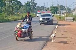 Người chồng đi bộ khắp nước Thái cùng tro cốt của vợ và 3 con chó