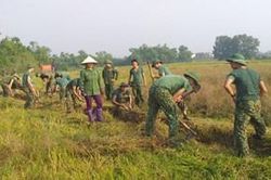 Ấm tình quân dân