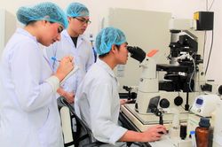 Chờ hướng dẫn thi hành Luật Giáo dục Đại học